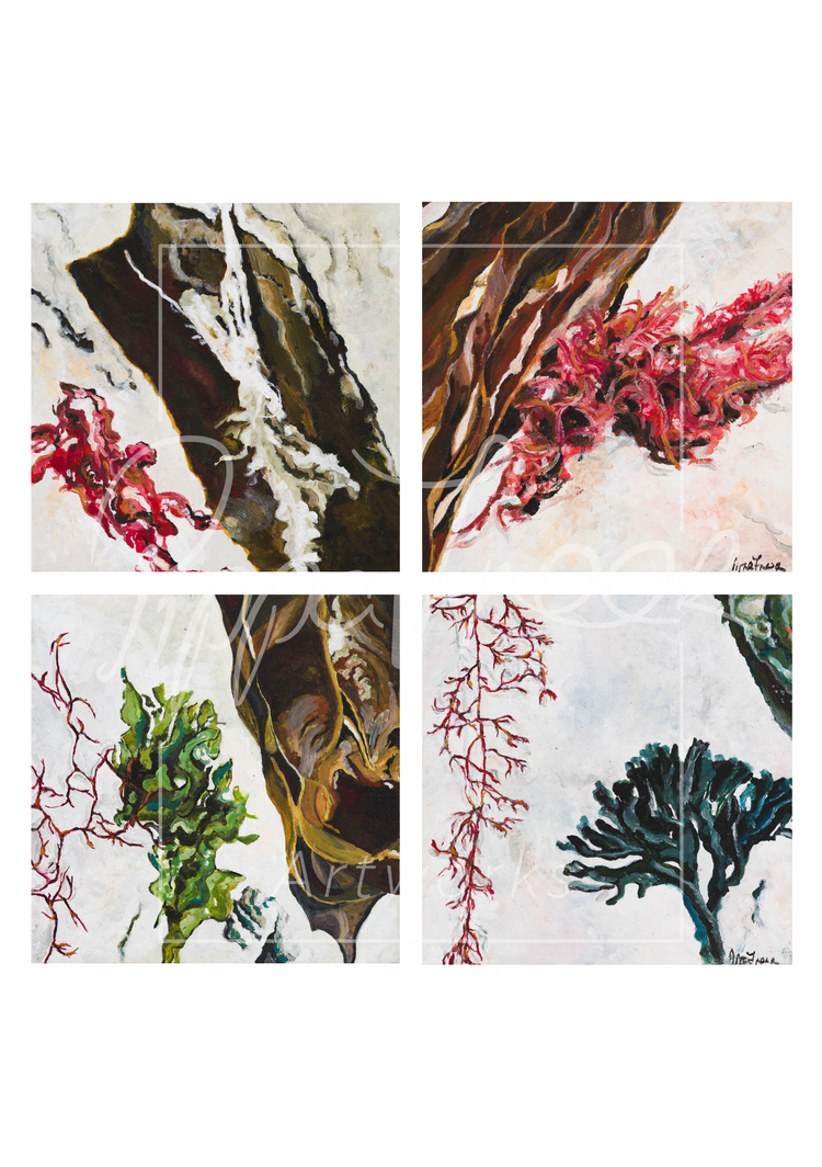 Seaweed Series Prints