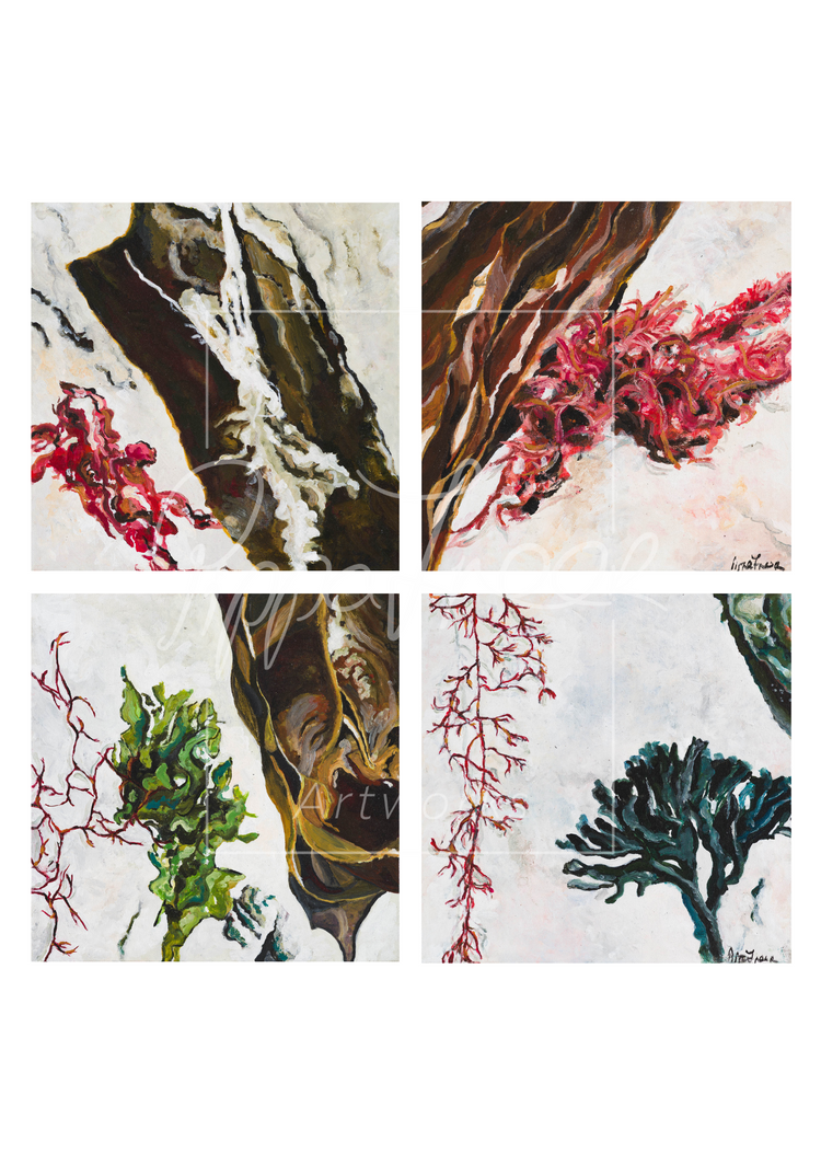 Limited Edition Art Shop