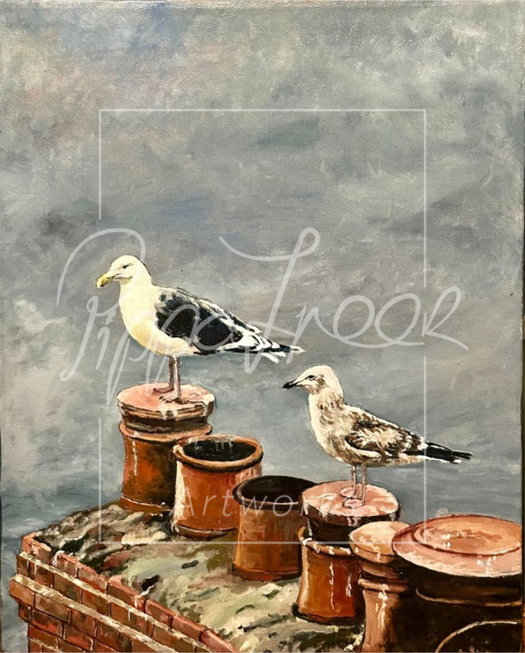The Seagull Series
