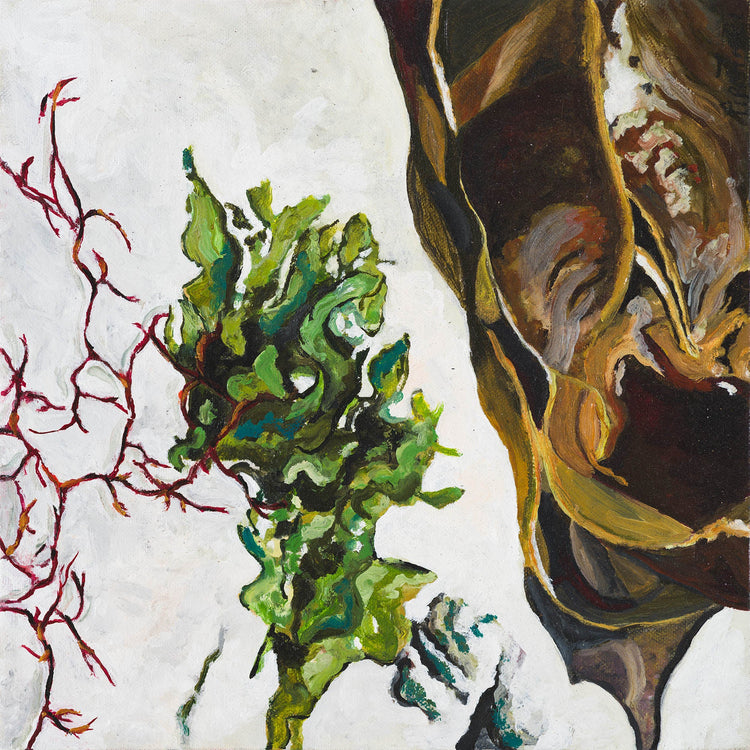 Seaweed Series Originals