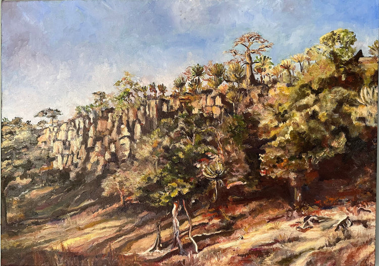 Landscapes of Southern Africa Prints