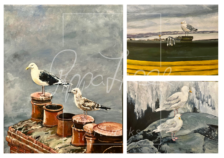 The Seagull Series Prints