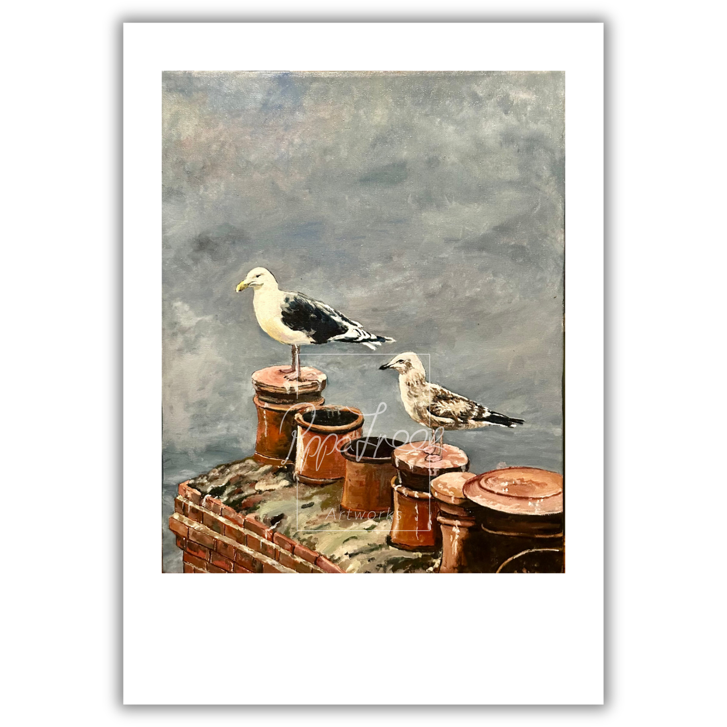 The Gulls from Clovelly Village, North Devon