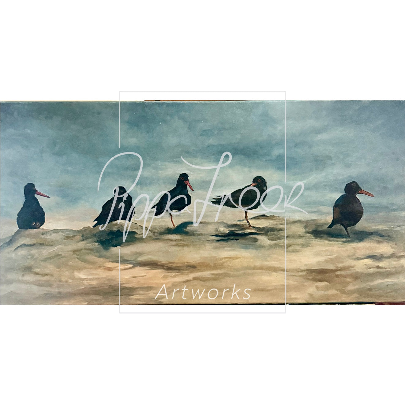 'African Oystercatchers'