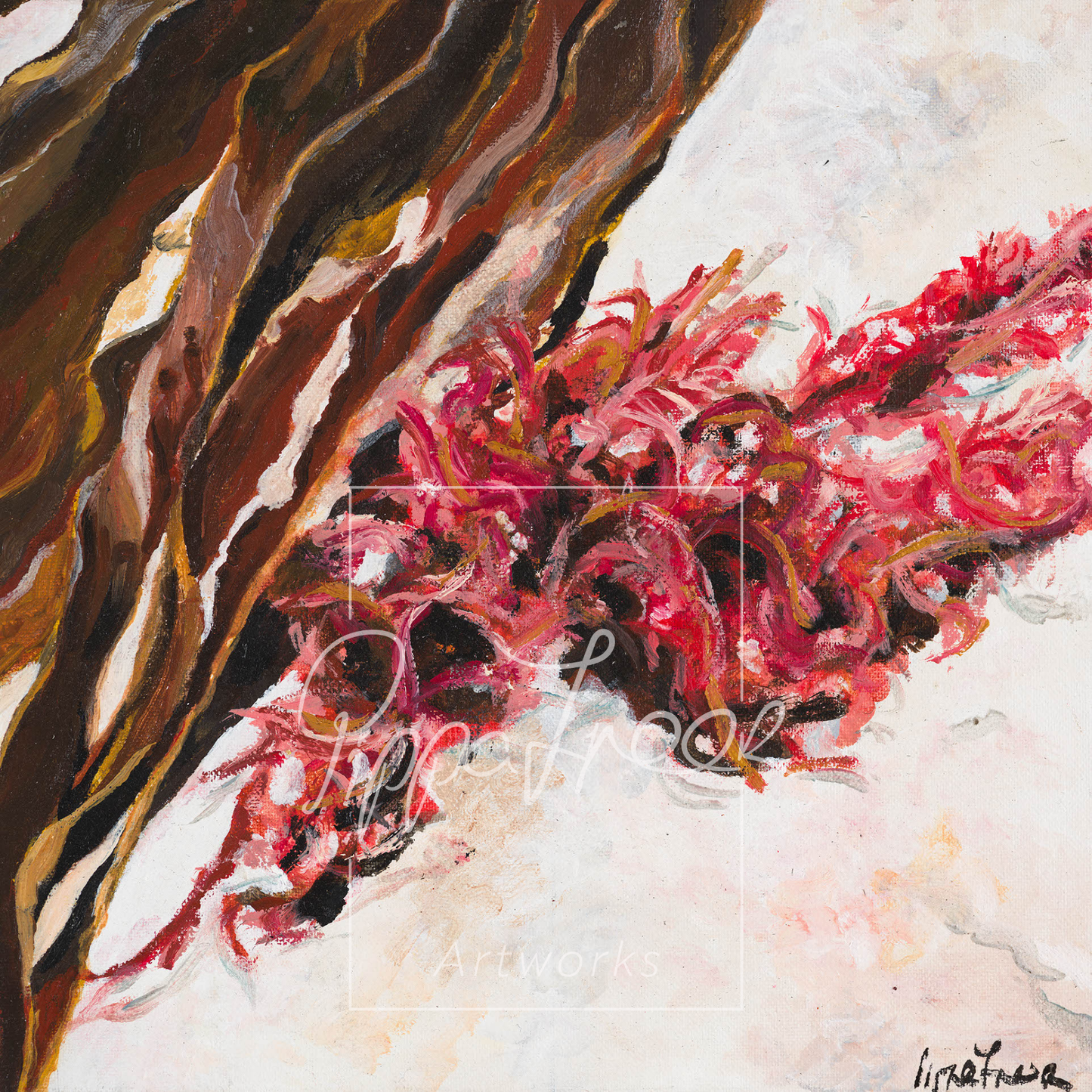 'Seaweed of Kommetjie'