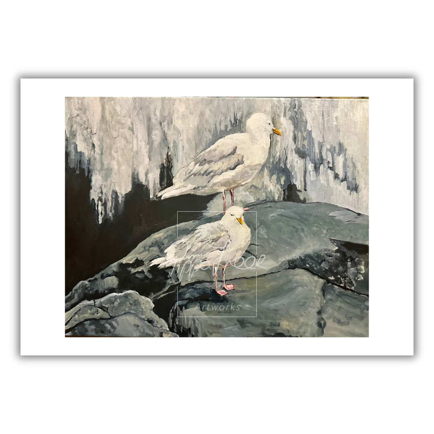 The Gulls from Spitzenberg, Svalbard