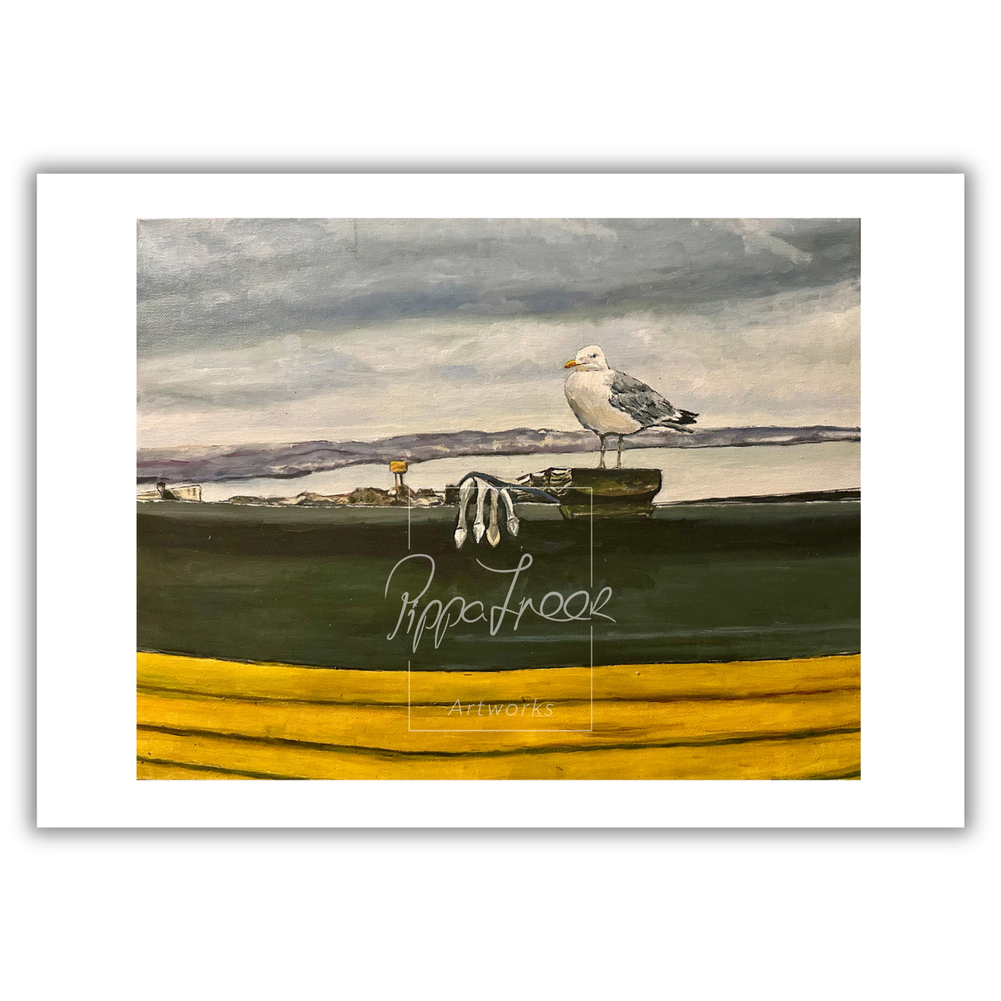 The Gull from Worthing West Sussex