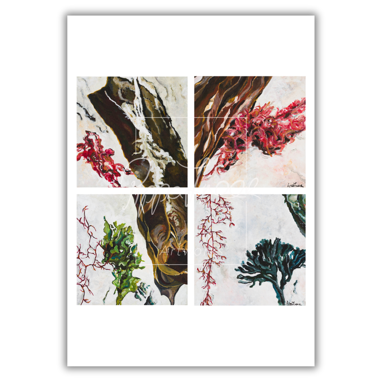 Seaweed Series Originals