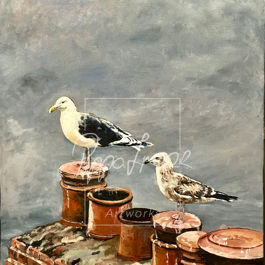 The Gulls from Clovelly Village, North Devon