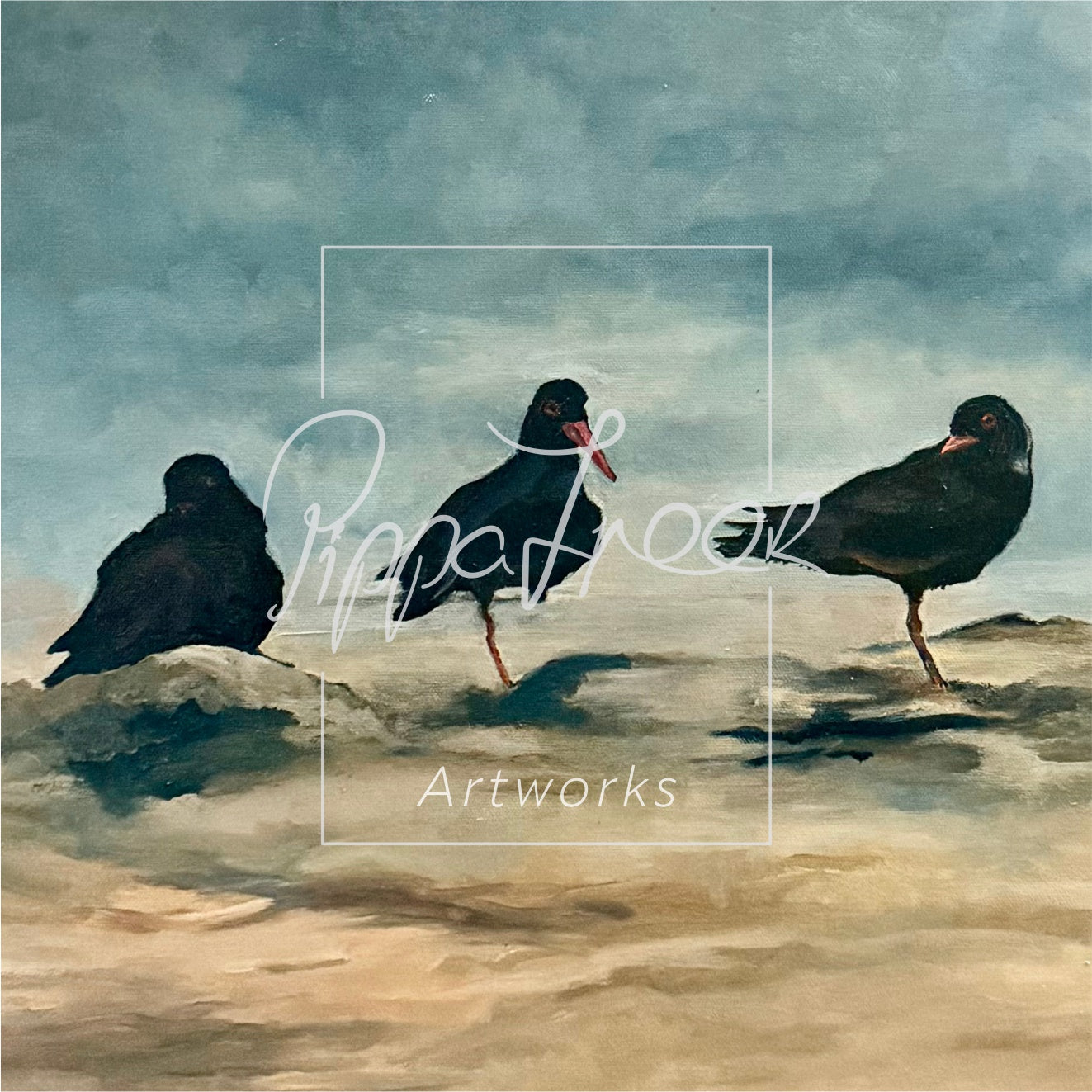 'African Oystercatchers'