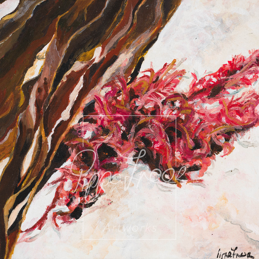 'Seaweed of Kommetjie'