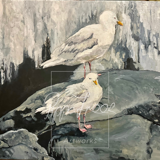 The Gulls from Spitzenberg, Svalbard